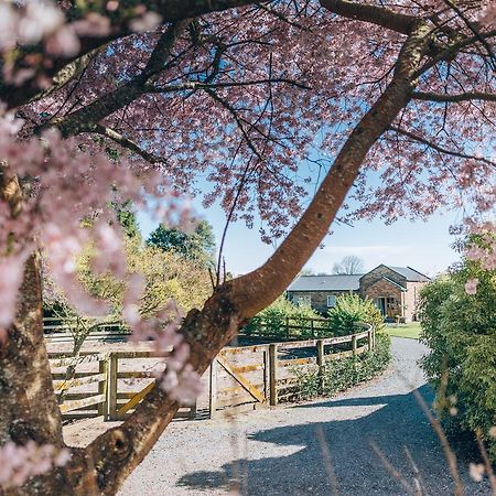 Lexington Park Cottages Cambridge Esterno foto