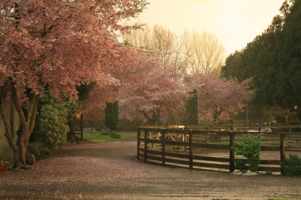 Lexington Park Cottages Cambridge Esterno foto