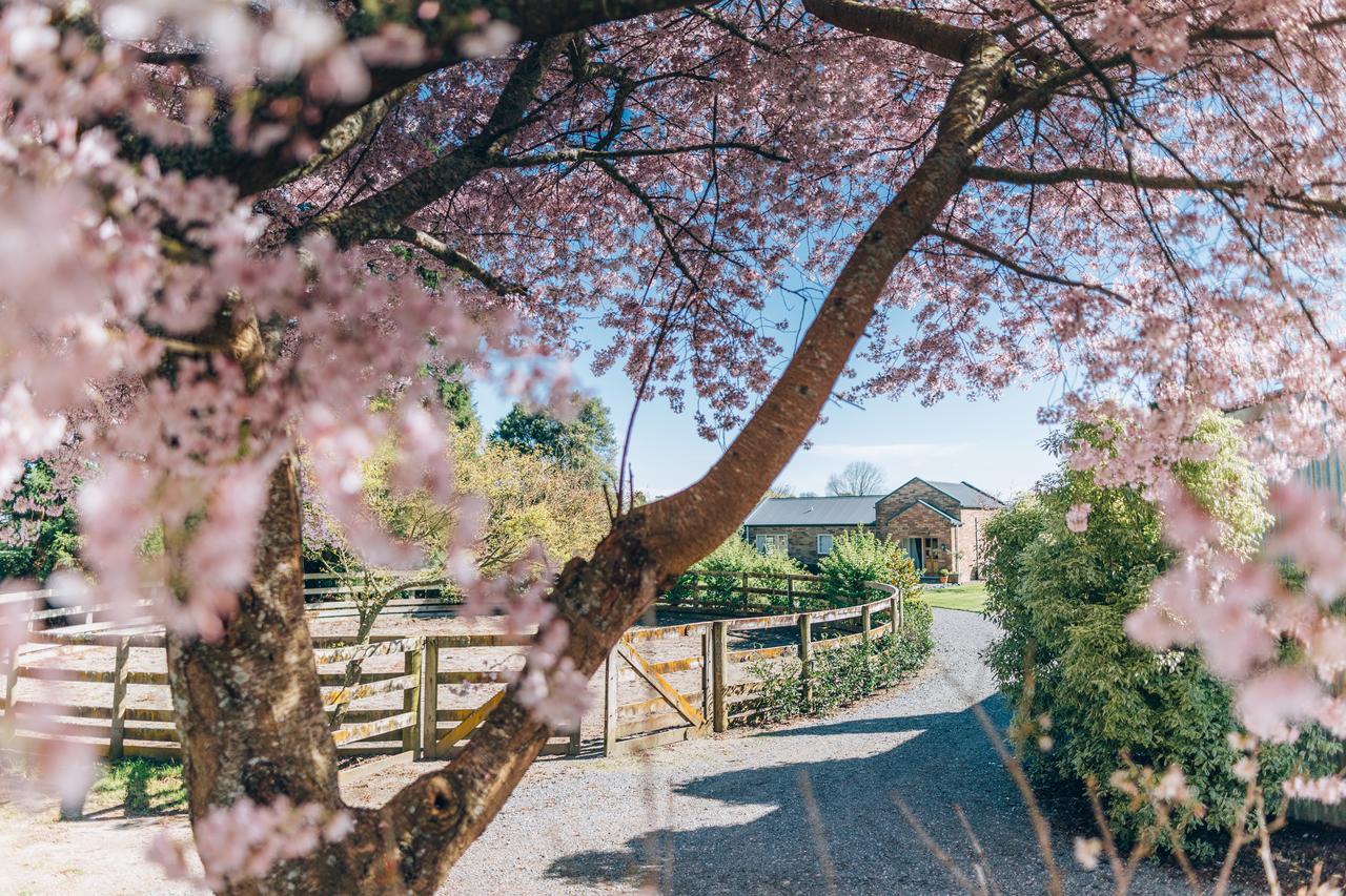 Lexington Park Cottages Cambridge Esterno foto